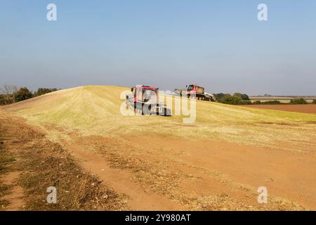 Veicoli bulldozer cingolati a pistoni con sistema di chiusura per insilato di granturco dolce nel campo immagazzinato per biocarburanti, Alderton, Suffolk, Inghilterra, Regno Unito Foto Stock