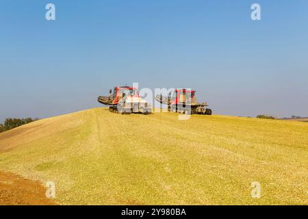 Veicoli bulldozer cingolati a pistoni con sistema di chiusura per insilato di granturco dolce nel campo immagazzinato per biocarburanti, Alderton, Suffolk, Inghilterra, Regno Unito Foto Stock