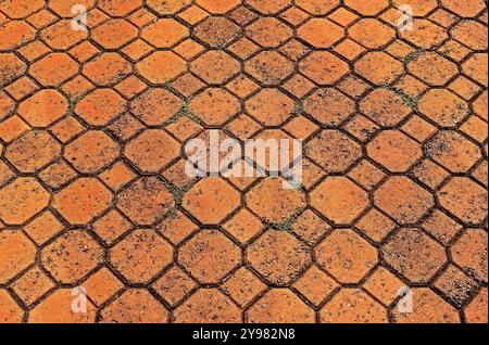 Patterned paving with red bricks in Ribeirao Preto, Sao Paulo, Brazil Stock Photo