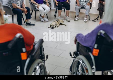 Gruppo di persone anziane in una casa di cura che trascorrono del tempo con il loro cane amico. Foto di alta qualità Foto Stock