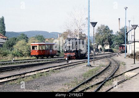 Un treno diesel sulla ferrovia a scartamento ridotto Harz tra Gernrode e Hasselfelde nel 1990 Foto Stock