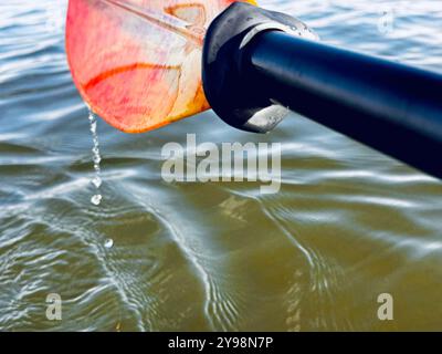 Kayak a pagaia fuori dall'acqua con gocce d'acqua che cadono Foto Stock