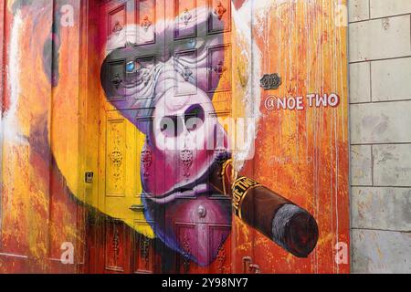 799 Gorilla fumando un grande sigaro dall'aspetto espressivo, colorato murale dipinto in un sorprendente realismo su una porta di legno in via Calle Habana. L'Avana-Cuba Foto Stock