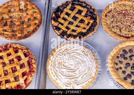 Torte di frutta appena sfornate con varie croste rinfrescanti su una teglia da forno, con sapori di mirtillo, mela e rabarbaro con condimenti a reticolo o meringa. Messa a fuoco selettiva Foto Stock