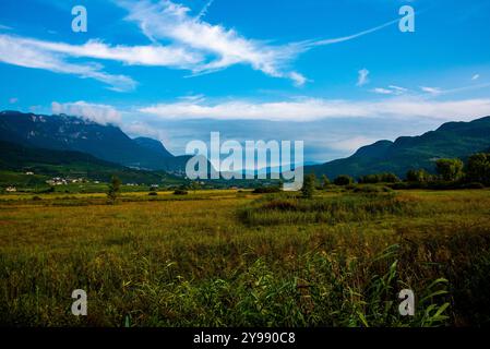 Paesaggio estivo con cielo blu e nuvole bianche sul Lago di Caldaro a Bolzano Foto Stock