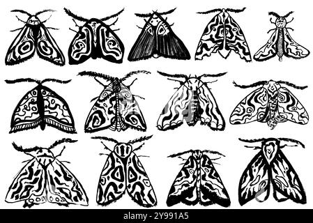 Set di denti notturni con spazzola a inchiostro disegnata a mano Illustrazione Vettoriale