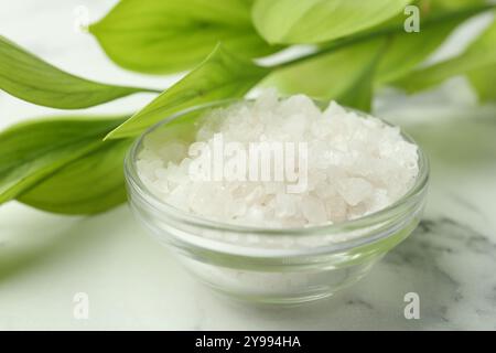 Sale marino in una ciotola di vetro e foglie verdi su un tavolo di marmo bianco, primo piano Foto Stock