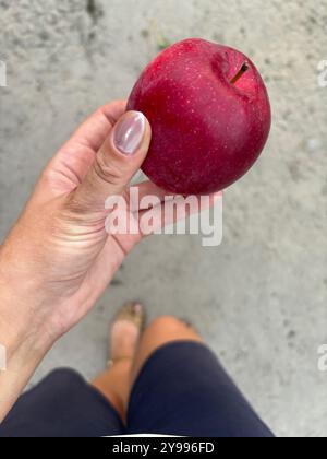 Una mela rossa matura in mano a una donna. Ripresa dall'alto, primo piano. Foto Stock