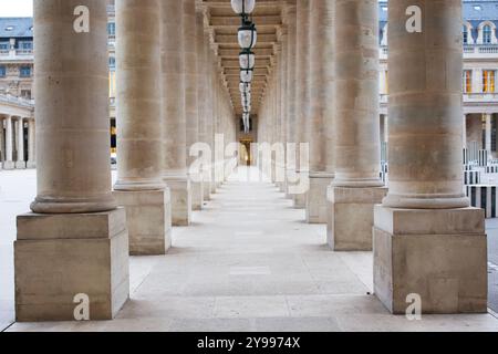 Colonne di pietra simmetriche nel Palais Royal che creano un senso di profondità e grandezza Foto Stock