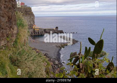 Aspre scogliere e piante di cactus che si affacciano su una baia e il calmo oceano atlantico di Madeira Foto Stock