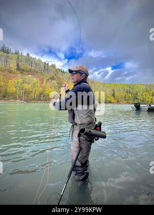 Pesca alla trota iridea nella panoramica Bulkley Valley, British Columbia, in un fiume circondato da foglie autunnali e terreni montuosi Foto Stock