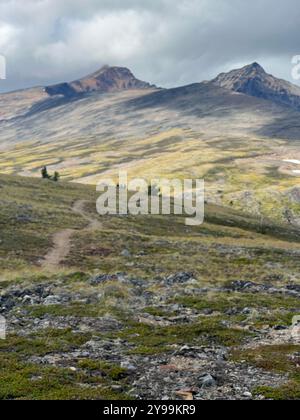 Sentiero escursionistico sulle montagne della Baia di Hudson, British Columbia, Canada, con aspri terreni alpini, paesaggi rocciosi e vette lontane sotto cieli nuvolosi Foto Stock