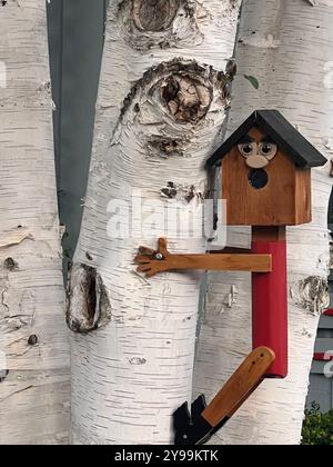 Stravagante casa per uccelli in legno con un design facciale giocoso, montata su un albero di betulla bianco, che aggiunge fascino e personalità a un ambiente naturale da cortile. Foto Stock