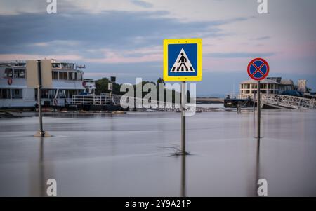 Segnali stradali che sporgono dal fiume Danubio durante l'alluvione di Budapest, 2024 settembre Foto Stock