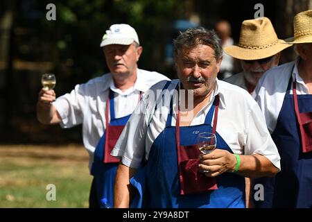Badacsony, Lago Balaton, Ungheria - 8 settembre 2024: Sfilata di strada del festival della vendemmia, uomini anziani con grembiuli blu che tengono bicchieri di vino Foto Stock