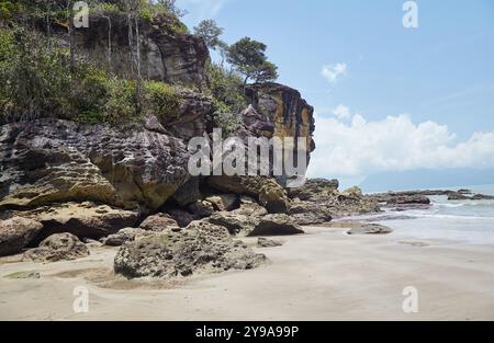 Oltre alla sua pittoresca spiaggia e ai percorsi naturalistici, il Parco Nazionale di Bako è uno dei posti migliori del Borneo per vedere la fauna selvatica. Il suo più notab Foto Stock