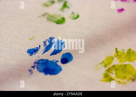 Le zampe vengono stampate. Immagine disegnata da un gatto o da un cane con zampa animale stampata su carta bianca acquerello disegnato da un animale domestico. Le impronte degli animali. Vernice per gattini Foto Stock