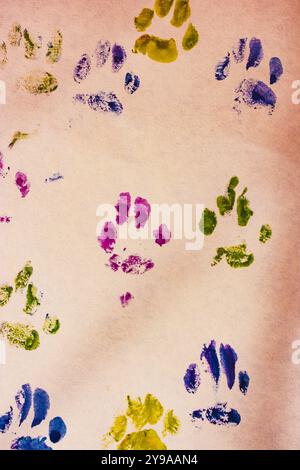 Le zampe vengono stampate. Immagine disegnata da un gatto o da un cane con zampa animale stampata su carta bianca acquerello disegnato da un animale domestico. Le impronte degli animali. Vernice per gattini Foto Stock