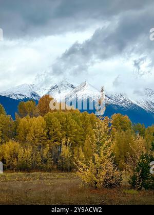 Uno splendido paesaggio autunnale caratterizzato da campi dorati, fogliame in transizione e lo sfondo spettacolare di vette innevate sotto un cielo nuvoloso Foto Stock