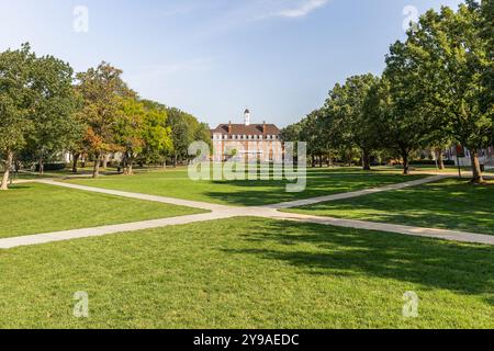 L'Università dell'Illinois è un'università pubblica di ricerca fondata nel 1867. Il quadruplo principale del campus. Foto Stock