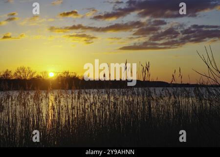 Tramonto su un lago con canne in primo piano e cielo colorato, lago Gartow, Gartow, Wendland, bassa Sassonia, Germania, Europa Foto Stock
