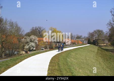 Tre persone che camminano e pedalano lungo un sentiero che passa tra alberi in fiore, diga dell'Elba, Damnatz, Wendland, bassa Sassonia, Germania, Europa Foto Stock