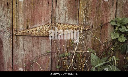 Abbandonato nel fienile, Cerniera porta, dettaglio Foto Stock