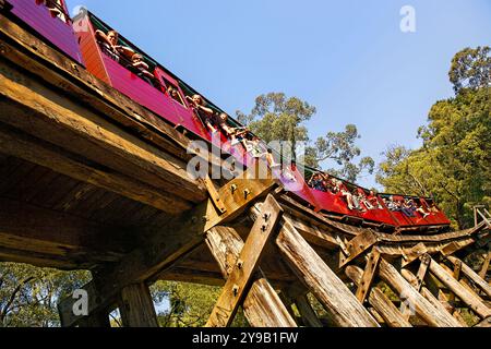 Carrozze passeggeri Puffing Billy che attraversano il Trestle Bridge costruito nel 1899, il Dandenong Ranges Victoria, Australia Foto Stock