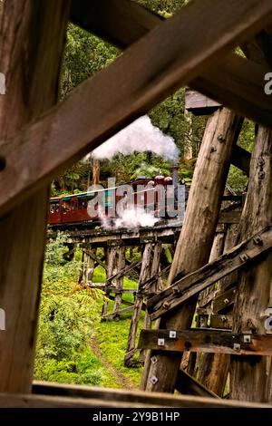 Carrozze passeggeri Puffing Billy che attraversano il Trestle Bridge costruito nel 1899, il Dandenong Ranges Victoria, Australia Foto Stock