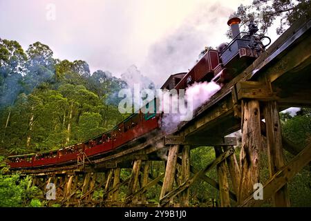 Carrozze passeggeri Puffing Billy che attraversano il Trestle Bridge costruito nel 1899, il Dandenong Ranges Victoria, Australia Foto Stock