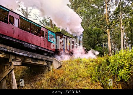 Carrozze passeggeri Puffing Billy che attraversano il Trestle Bridge costruito nel 1899, il Dandenong Ranges Victoria, Australia Foto Stock