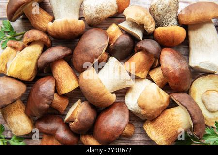 Una varietà di funghi appena forati giace su un rustico tavolo di legno, che mostra un ricco assortimento di forme e toni terrosi che evidenziano Foto Stock