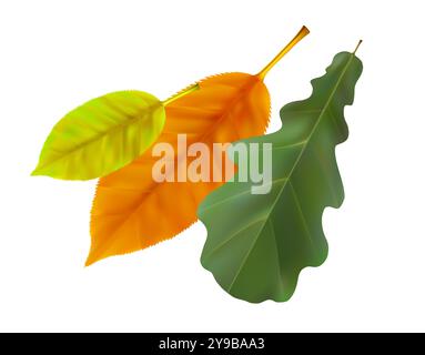 Composizione di foglie autunnali realistiche. Foglie gialle, verdi e arancioni che volano foglie cadono turbinano nel vento. Illustrazione vettoriale Illustrazione Vettoriale