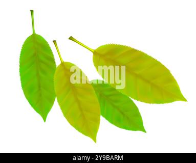 Composizione di foglie autunnali realistiche e vivaci. Foglie gialle e verdi che volano cadono. Illustrazione vettoriale Illustrazione Vettoriale