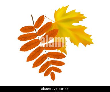 Composizione di realistiche foglie autunnali di rowan e acero. Giallo, arancione, le foglie girano nel vento. Illustrazione vettoriale Illustrazione Vettoriale
