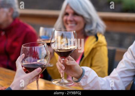 Primo piano di tostatura delle mani con bicchieri da vino rosso. Donne mature amiche in giacche colorate che si divertono all'aperto, si concentrano sui bicchieri da vino con l'ingegno Foto Stock