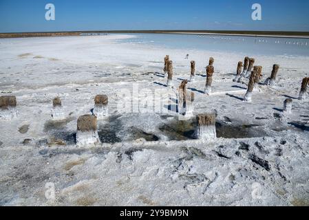 Vecchi bagni in legno sul lago Elton. Regione di Volgograd, Russia Foto Stock