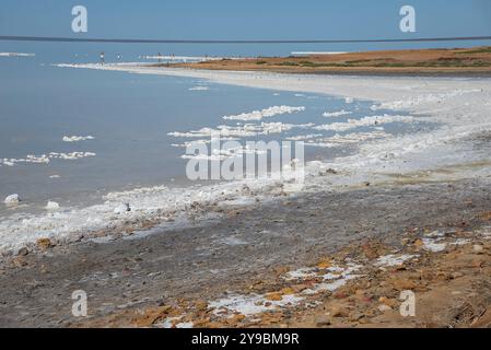 La riva del lago salato Elton nella regione di Volgograd, Russia Foto Stock