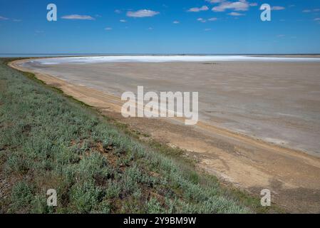 Pittoresca riva del lago salato Elton nella regione di Volgograd, Russia Foto Stock