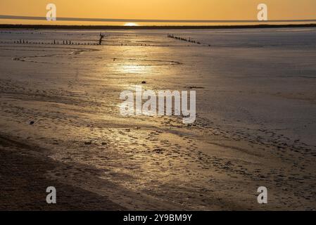 Tramonto sul lago salato Elton. Regione di Volgograd, Russia Foto Stock