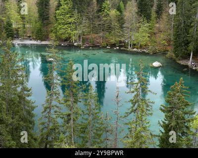 Sopra il lac Vert a Passy, alta Savoia, Francia. Suggestivo lago alpino verde smeraldo nelle alpi francesi con pineta Foto Stock