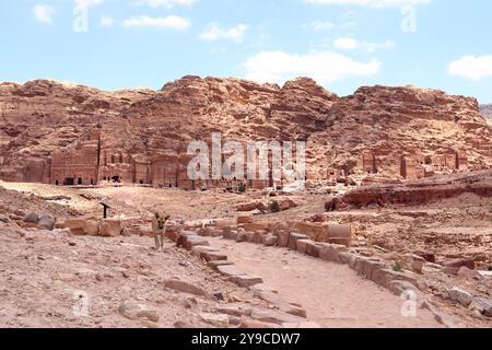 Carino cane randagio nella zona di Wadi Musa, Petra in Giordania Foto Stock