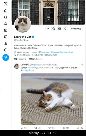 "X" - precedentemente Twitter - pagina (ottobre 2024) di Larry the Downing Street Cat - Chief Mouser all'Ufficio del Gabinetto dal 2011 Foto Stock