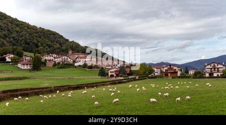 Larraintzar è un piccolo e caratteristico villaggio nella valle dell'Ultzama, situato 22 km a nord di Pamplona. È anche conosciuta per la vicina Orgi Wooo Foto Stock