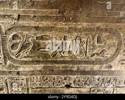 Edfu, Egitto; 17 gennaio 2024: L'intricato arazzo dei geroglifici che adornano le pareti del tempio di Edfu. Questi antichi simboli, ricchi di significato Foto Stock