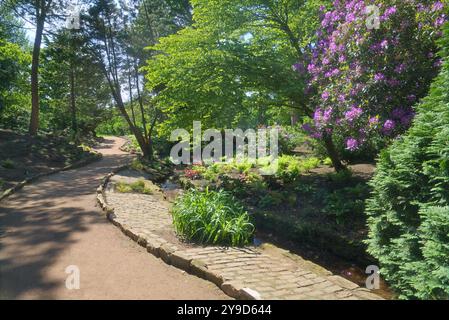 La fotografia mostra il percorso e il torrente, che si snodano attraverso i pittoreschi giardini cinesi di Ayr Campus, l'Università della Scozia occidentale. Queste beaut Foto Stock