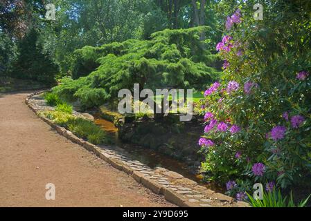 La fotografia mostra il percorso e il torrente, che si snodano attraverso i pittoreschi giardini cinesi di Ayr Campus, l'Università della Scozia occidentale. Questi beau Foto Stock