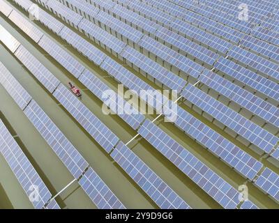 SUQIAN, CINA - 10 OTTOBRE 2024 - Un lavoratore controlla le apparecchiature fotovoltaiche in una base ibrida pescheria-solare a Suqian, nella provincia di Jiangsu nella Cina orientale, ottobre Foto Stock