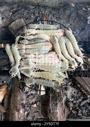 grigliate di gamberi silver mantis su un fuoco a legna aperto su un barbecue. L'esclusiva lucentezza metallizzata del gambero risplende nelle fiamme. Foto Stock