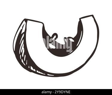 Schizzo vettoriale della zucca con incisione. Verdure autunnali disegnate a mano. Elemento di design vintage per il ringraziamento. Disegno a inchiostro lineare. Illustrazione Vettoriale